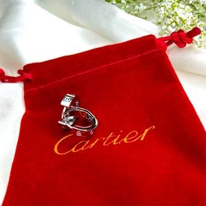 Inspired silver earrings